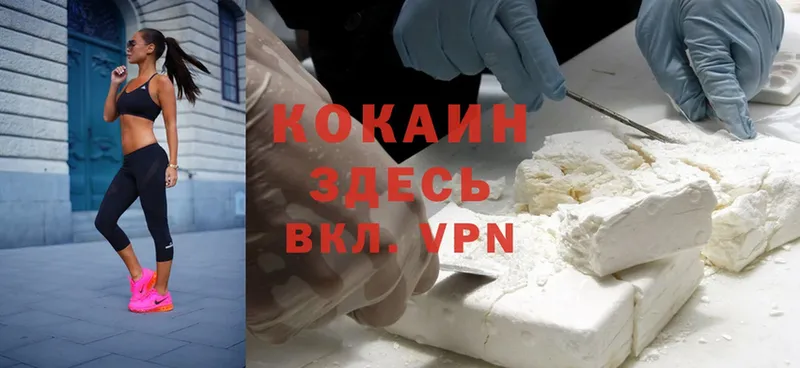 купить  цена  Грайворон  Cocaine FishScale 